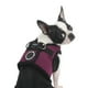 thumbnail image 3 of Puppia arnés suave tipo chaleco para perro talla XG PUPPIA PAHA-AH305, 3 of 4