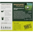 thumbnail image 3 of Bigelow Organic Green Tea, Tea Bags, 40 Ct, 3 of 4