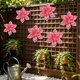 thumbnail image 1 of Outdoor Garden Courtyard Iron Wall Hanging Decoration Creatives Horticultural Wall Hanging Decoration, 1 of 6