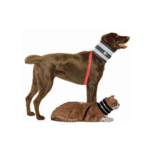 BiteNot Collar 2.5 x 14