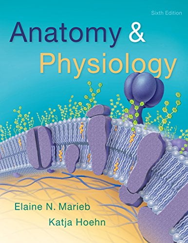 Pre-Owned Anatomy \u0026 Physiology (Hardcover) 0134156412 9780134156415