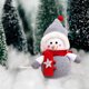 thumbnail image 5 of Juguetes de piscina, juguetes para bebés, juguetes para niños pequeños, adornos navideños de muñeco de nieve de peluche, decoraciones navideñas, muñecos de nieve de Papá Noel hechos a mano para fiesta, 5 of 6