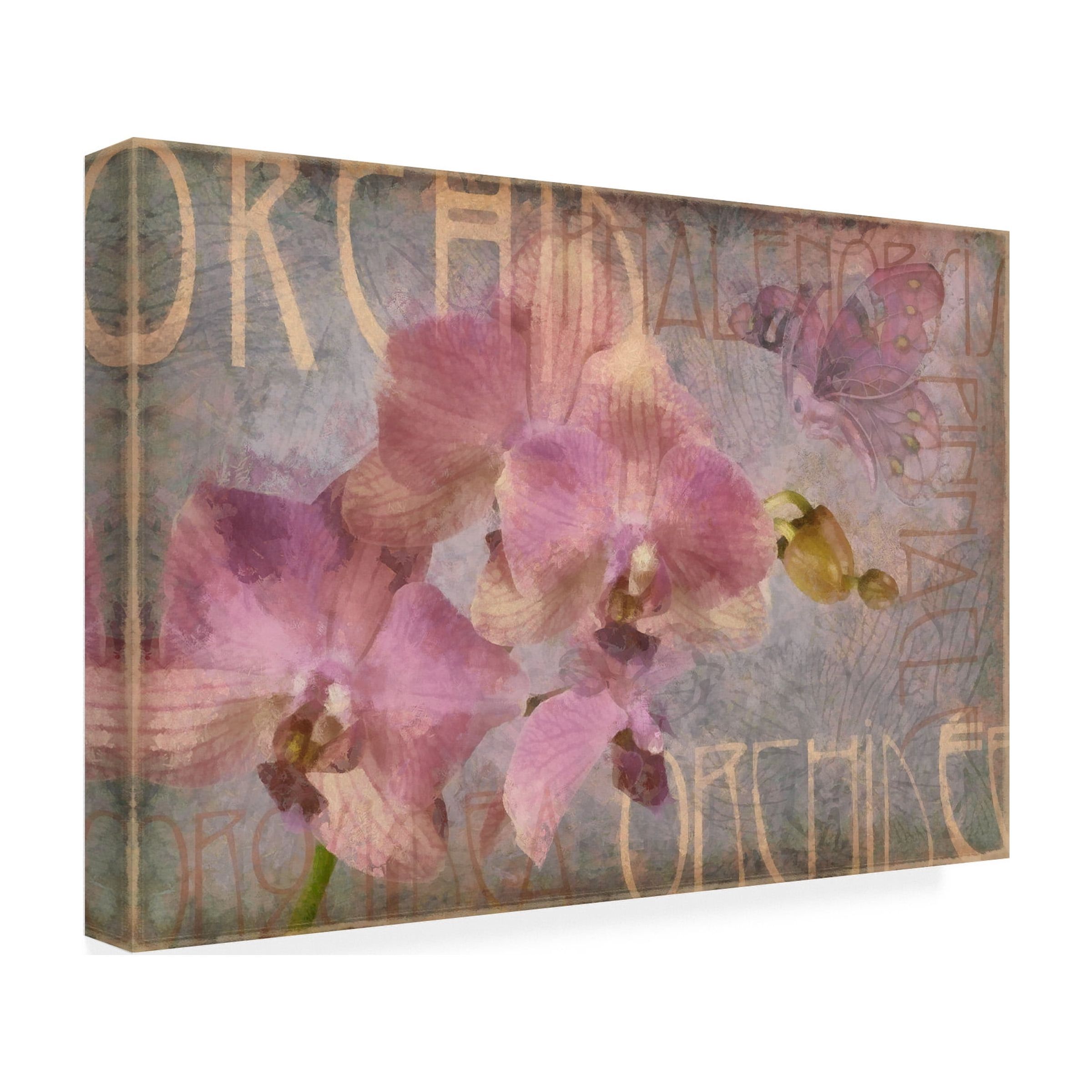 Trademark Fine Art 'Orchid I' Canvas Art by Cora Niele