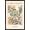 Black Framed Version, variant on Reinders: Flowers - Flower Market Ibiza Botanic Wall Poster, 14.725" x 22.375" Framed