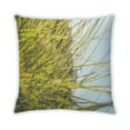 thumbnail image 2 of Ahgly Company Plants Grass Indoor Throw Pillow, 18 inch by 18 inch, 2 of 6