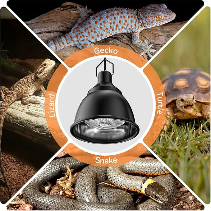 Reptile Light Fixture,Reptile Heat Lamp Fixture,For Turtle Bearded Dragon Lizards Snake,Reptile Glass Terrariums(Black)