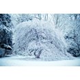thumbnail image 2 of EREHome Polyester Fabric 7x5ft Winter Snow Scenery Photography Backdrop White Green Tree Frozen Background for Photographer Photo Studio Backdrop Prop, 2 of 2