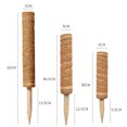 thumbnail image 7 of Travelwant Moss Pole Plant Support Coir Moss Poles for Climbing Plants Indoor, Coco Totem Stick Extension for Potted Plants, Monstera, 7 of 7