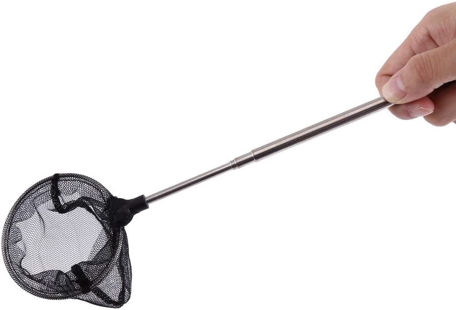 Épuisette Télescopique De Pêche 1,8 M – Poignée Aluminium, Filet Résistant, Portable, Pour Étang Et Rivière