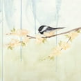 thumbnail image 2 of Reynolds, Jade 26x26 White Modern Wood Framed Museum Art Print Titled - Spring Chickadees III, 2 of 4