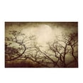 thumbnail image 2 of CADecor Grunge Image of Moon Landscape Plush Bathroom Decor Rug Mat , Doormat 30x18 inches, 2 of 2