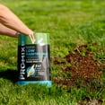 thumbnail image 6 of PRO-MIX Premium Low Maintenance Lawngrass Grass Seed, 7 lbs, 6 of 17