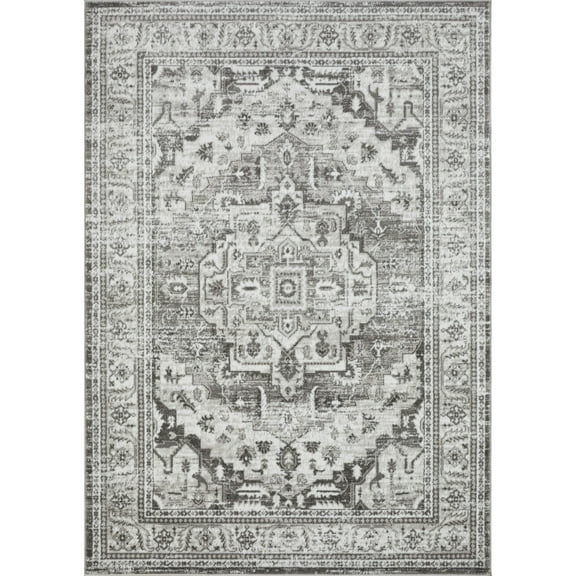 Loomaknoti Rhane Alvner 5' x 7' Gray Oriental Indoor Area Rug