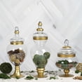 thumbnail image 2 of Efavormart Set of 3 Gold Trimmed Glass Apothecary Candy Jars With Lids -10"/14"/16", 2 of 11