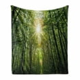 thumbnail image 1 of Forest Soft Flannel Fleece Throw Blanket, Summer Trees Upward View with Sunrays Leaking from Branches Nature Image, Cozy Plush for Indoor and Outdoor Use, 50" x 70", Fern Green Yellow, by Ambesonne, 1 of 6