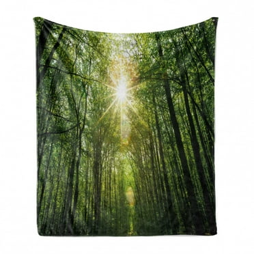 Forest Soft Flannel Fleece Throw Blanket, Summer Trees Upward View with Sunrays Leaking from Branches Nature Image, Cozy Plush for Indoor and Outdoor Use, 50" x 70", Fern Green Yellow, by Ambesonne