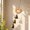 #182-brown*A, variant on Cheapark Beech Wood Wind Chime Crystal Bell Wind Chime Clear Tone Elegant for Home Porch Window Garden Hanging Decor Gift