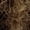 Dark Green, variant on 5 Piece Ghillie Suit Desert - Youth Large