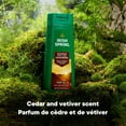thumbnail image 2 of Irish Spring Saharan Dawn Gel Douche Hydratant pour Hommes, bouteille de 591 mL, 2 of 9