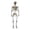 Skeleton, variant on Halloween Movable Dachshund Skeleton Figurine, 11.8" Posable Plastic Wiener Dog Bone Statue, Halloween Graveyard Haunted House Spooky Tabletop Decor Prop
