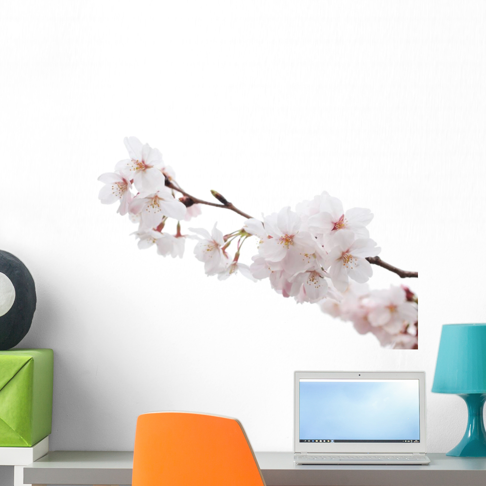 Cherry Blossom Wall Decal by Wallmonkeys Peel and Stick Graphic (24 in W x 16 in H) WM182019