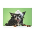 thumbnail image 3 of Funny Chihuahua Bath Canvas Wall Art for Home Decor Ready-to-Hang, 3 of 18
