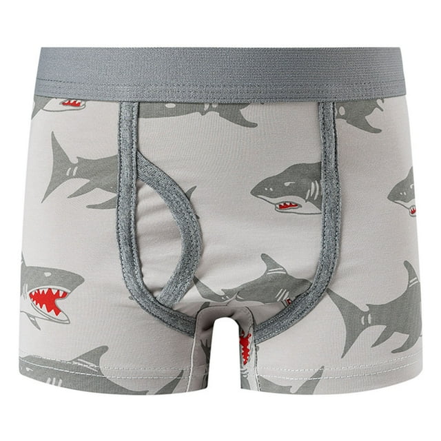 Boys Underwear Soft Comfortable Breathable Kids Briefs Cartoon Printed Daily Wear