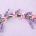 thumbnail image 5 of TIELUTT Orchid Clips 1.4x1.4 Inch Support Clips for and Climbing Transparent Garden Support Clips for Indoor Chips Clips Small Clips for Thick Hair Small Clips for Paperwork Nonslip Hair Clips Wet Cl, 5 of 5