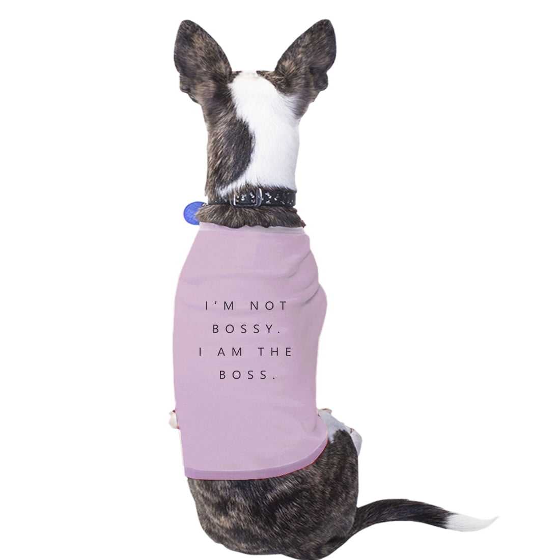 pink dog clothes