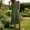 Army Green, variant on Floral Dress for Women Short Sleeve V-Neck Mid-Length with Pocket Fit and Flare Elegant and Cocktail for Prom Beige S