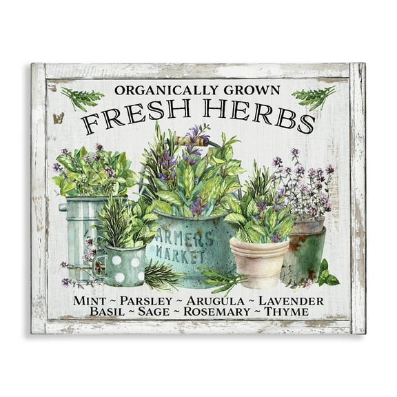 Stupell Industries Organic Fresh Herbs Plants & Flowers Painting Wrapped Canvas Art Print Wall Art, 20 x 16