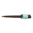 thumbnail image 4 of Eaton Tripp Lite Series 400G Multimode 50/125 OM4 Plenum Fiber Optic Cable, 16F MTP/MPO-APC to 24F MTP/MPO-UPC (F/F), Magenta, 3 m - Network cable - MTP/MPO/APC multi-mode (F) to MTP/MPO/UPC multi-mode (F) - 3 m - fiber optic - 50 / 125 micron - OM4 - plenum - black, magenta, green, aqua, 4 of 5