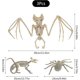 thumbnail image 2 of piezas Esqueleto de murciélago de Halloween Esqueleto de araña de Halloween Esqueleto de ratón de Halloween Huesos de animales aterradores Huesos de murciélago realistas Decoraciones de Halloween A, 2 of 4