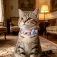 thumbnail image 1 of Outdor Reflective Cat Collar With Breakaway Buckle For Outdoor Use Adjustable Soft Nylon Necklace Lost Escape Proof, 1 of 4