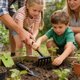 thumbnail image 5 of Pala de jardinería, paleta de mano, herramienta para plantar | Cavar, desherbar, trasplantar | Cultivador de tierra para jardín exterior | Jardín, balcón, macizo de flores, 5 of 6