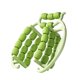 thumbnail image 1 of Rodillo relajante muscular de 29 ruedas, 360 grados, manual, resistente, circular, abrazadera para piernas verde, 1 of 9