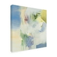 thumbnail image 2 of Trademark Fine Art 'Stream Fluting' Canvas Art by Emilia Aran, 2 of 3