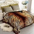 thumbnail image 2 of JML Raschel A&B Printed 2-ply Reversible Korean-style Plush Fleece Blanket Brown Tiger Queen Animal Print, 2 of 5
