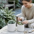 thumbnail image 4 of MyGift 6 Inch Ceramic Round Planter Pot, Set of 2 Vintage-Style White Ceramic Flower Pots, Indoor Hobnail Textured Cylindrical Succulent Plant Containers, 4 of 7