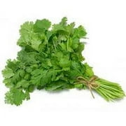 Fresh Green Organic Cilantro, 1 Bunch Bag