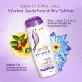 thumbnail image 3 of Yuthika Intense Shine Shampoo for Women & Men with Jojoba oil | For Dry & Frizzy Hair | 180ml / 6.08 Oz, 3 of 7