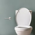thumbnail image 3 of Design House Graz Park Wall Mounted Toilet Paper Holder, Polished Chrome, 3 of 12
