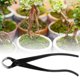 thumbnail image 4 of Tijeras de podar de acero de borde redondo de 210 mm para jardín, cortador de ramas gruesas, herramientas para bonsái, 4 of 9