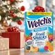 thumbnail image 4 of Snacks de fruta Welch's, caja de snacks de frutas variadas, para rellenar calcetines navideños, sin gluten, paquetes de 0,8 oz (paquete de 40)., 4 of 4