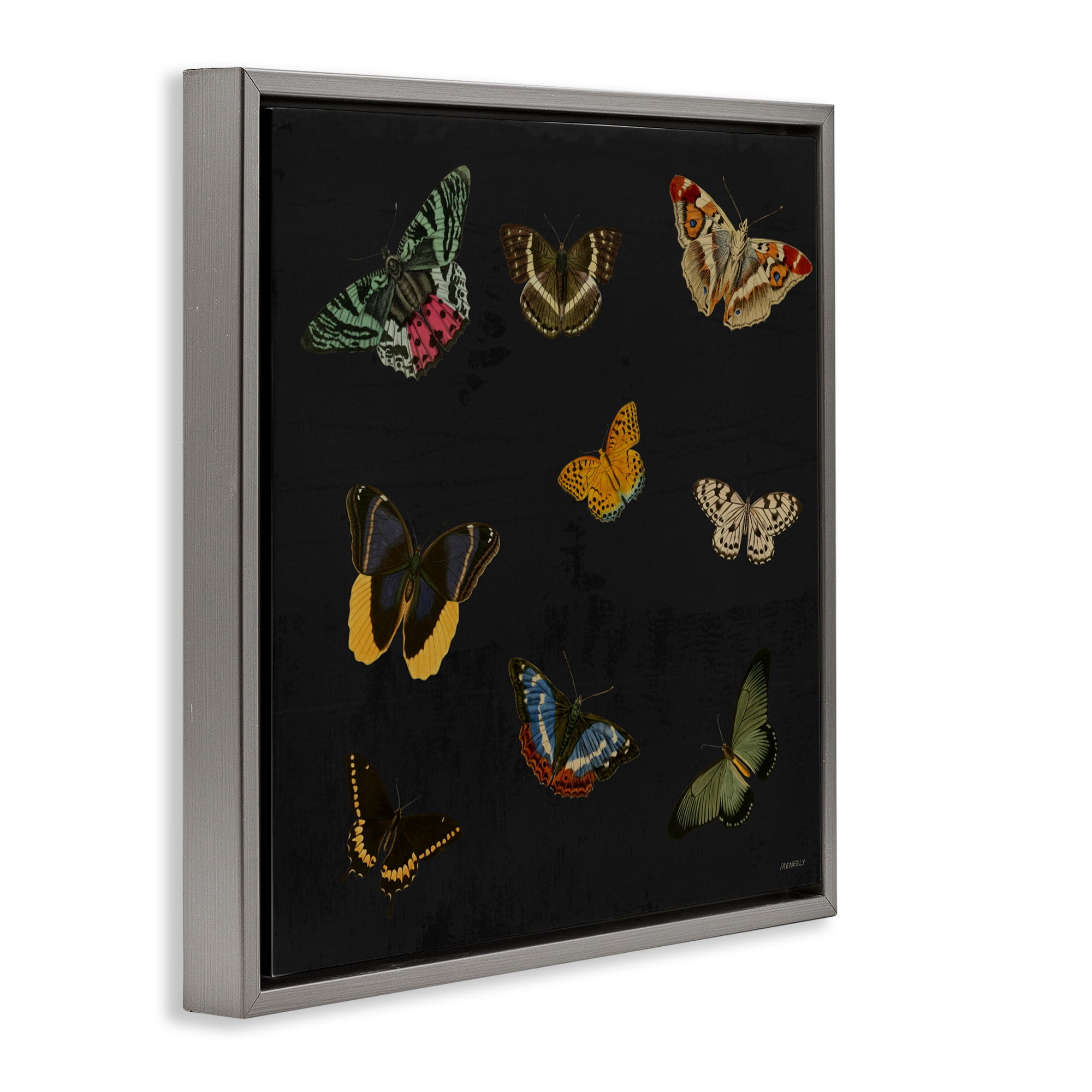 Stupell Industries Butterfly & Moth Collection Gray Framed Floater Canvas Wall Art, design by Dan Meneely