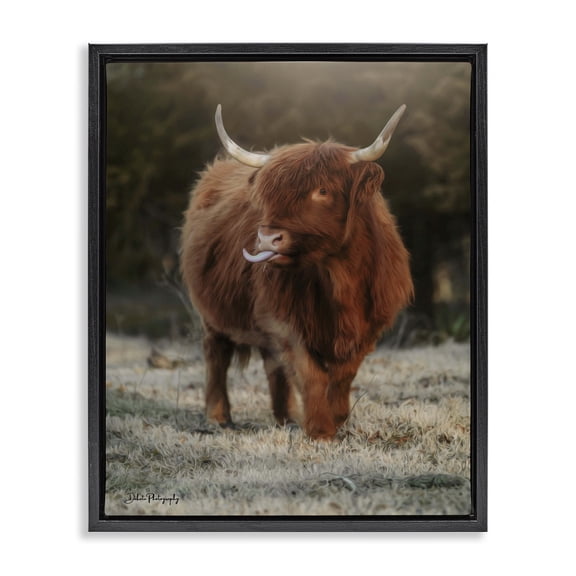 Stupell Industries Rustic Lodge Highland Cattle Farmhouse Country Animal Black Floating Frame Canvas Art, 17 x 21, by Dakota Diener