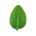 thumbnail image 1 of 4 Pieces Simulation Banana Leaves Fashion Home Garden Accessory And Sturdy Materials, 1 of 5