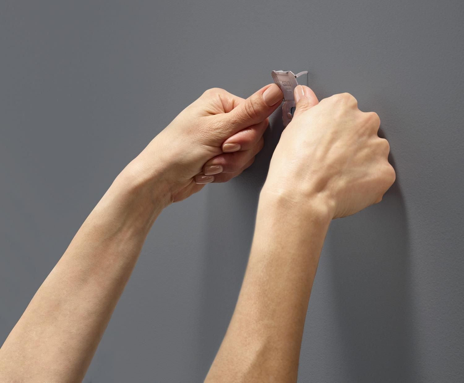 3M CLAW™ Drywall Picture Hanger 3PH65M-2EF