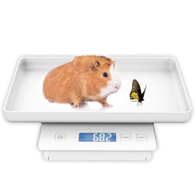 MINDPET-MED Báscula para mascotas de 0,1 g para animales pequeños, báscula de parto y cobayas, alta precisión de 0,1 g, adecuada para todas las mascotas recién nacidas, gatitos, tortugas,