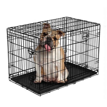 Vibrant Life, Double-Door Folding Dog Crate with Divider, Large, 36